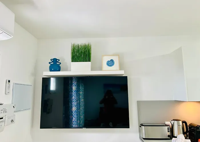 Apartament Casa Oasis *